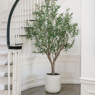 Faux Olive Trees for Earth Day 2026: Buy Better, Buy Once
