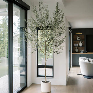 Faux Tree Size Guide for Every Room: Style Guide - CG Hunter