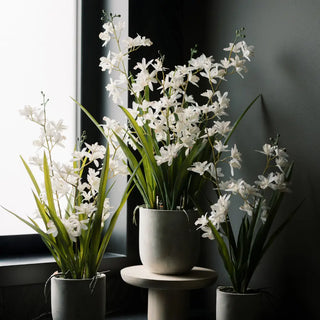 Artificial White Orchid in Vanda Pot arrangements styled near a window