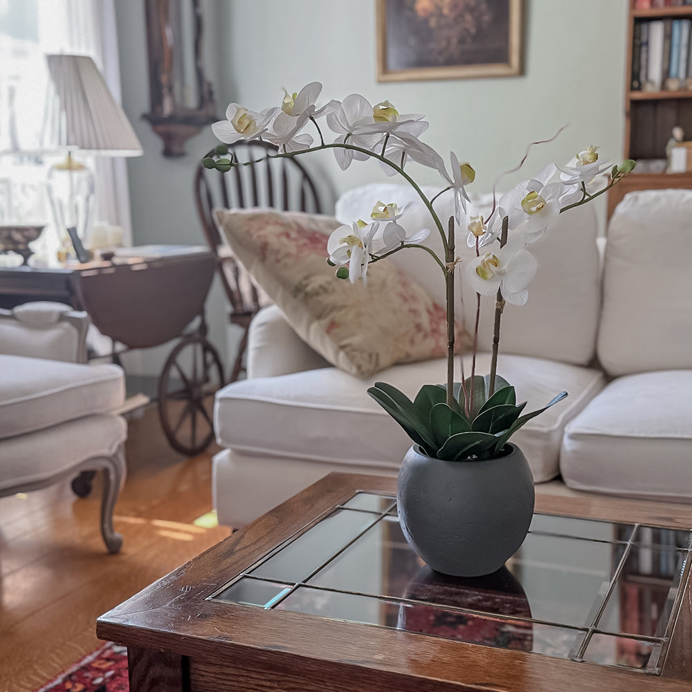 Airbnb, Vacation Rentals, and Second Homes