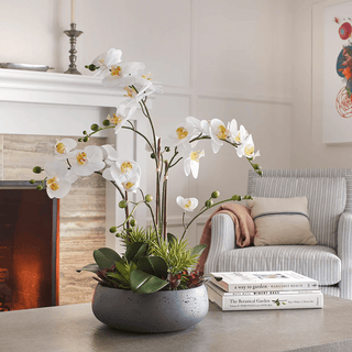 Getting the Designer Aesthetic into your Home: Tips and Tricks - CG Hunter