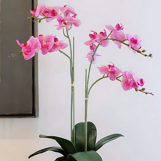 Spring 2026 Interior Design Trends to Know Now