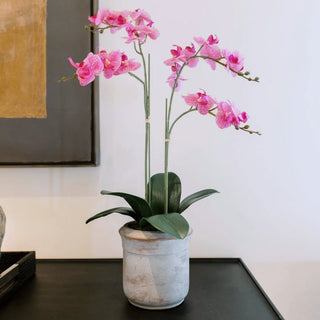 Valentine's Gift Guide: Under $100 - CG Hunter