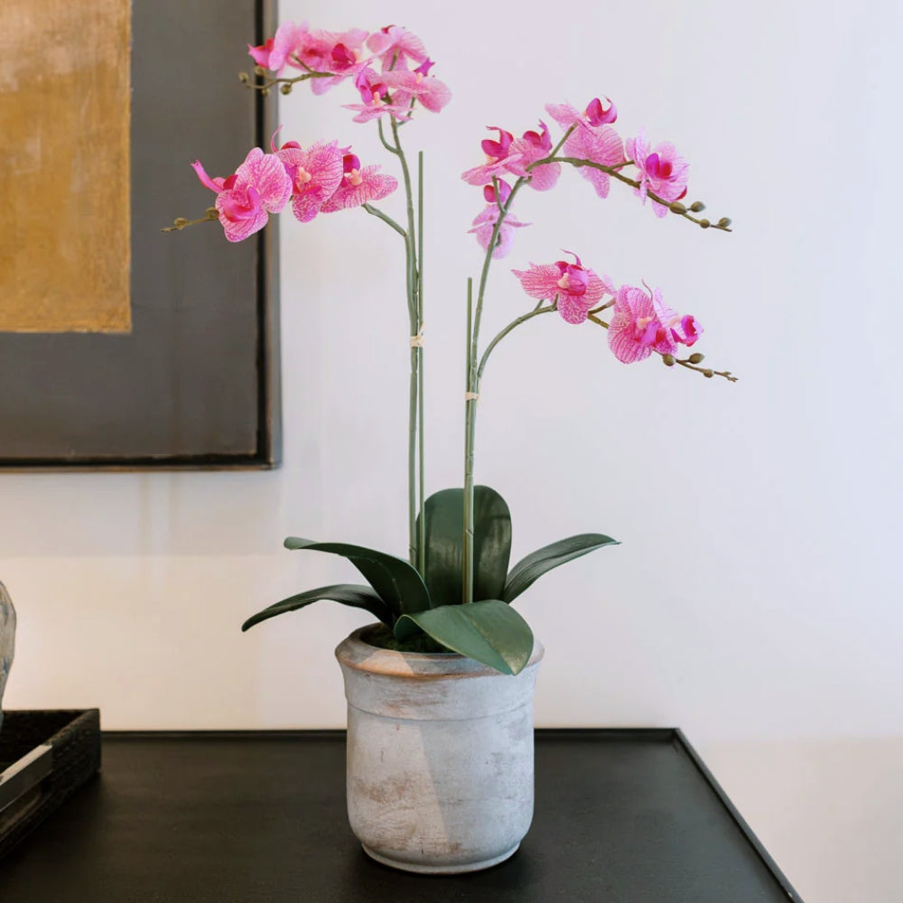 Lifelike faux orchids from CG Hunter will last forever like your love