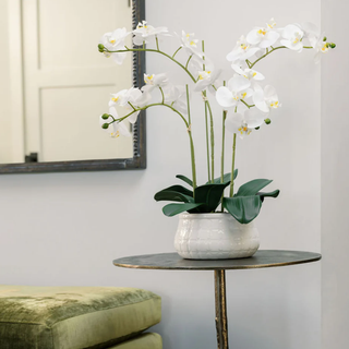 International Women's Day: Building Something That Lasts