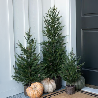 SHEFinds Features CG Hunter's Faux and Decor