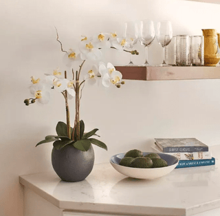 Four for Four on Forbes, "Mother's Day Gift Guide 2024" - CG Hunter
