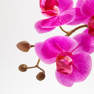 Designed for Lasting Beauty, Our Commitment in Curation - CG Hunter