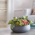 A luxurious arrangement of faux succulents in a modern decorative bowl, showcasing vibrant hues and realistic textures, perfectly complementing the theme of '3 Fake and Dried Foliage Alternatives if You're Killing Your Houseplants'.