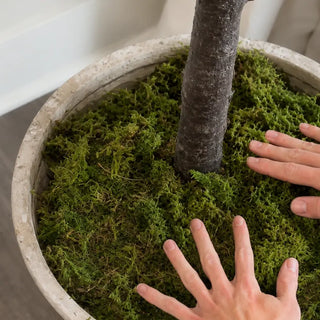Faux Tree Pot + Planter Style Guide