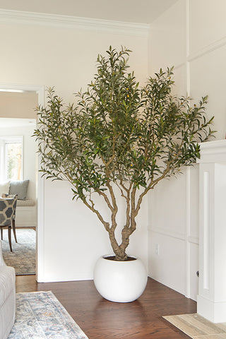 Going Green: Why Faux Plants are the Coolest (and Most Sustainable) Home Decor Trend