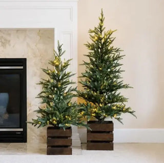 CGH Pre-Lit Holiday Trees Featured in Martha Stewart's 2026 Costco Holiday Décor Picks