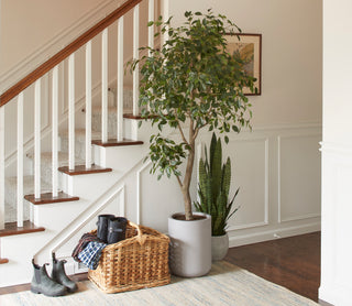 CG Hunter Artificial Ficus Tree, most realistic looking faux tree on the market and comes in a modern upscale pot