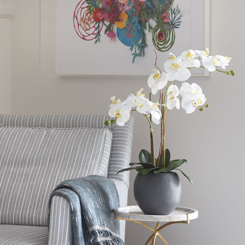 Beautiful Orchid on modern gray pot