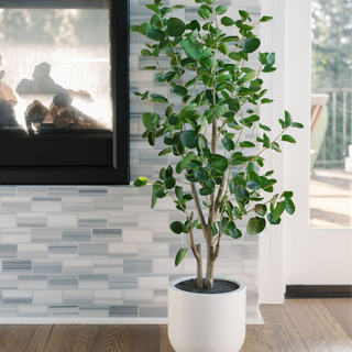 Close-up view of the lifelike leaves of the CG Hunter 4' Faux Potted Eucalyptus Tree, showcasing its exquisite silvery-green foliage.