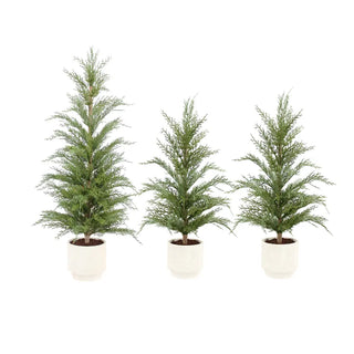 Faux Cedar Tree Bundle, Set of 3