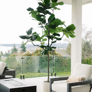 Decorative plant on a balcony with white chairs and a glass railing.