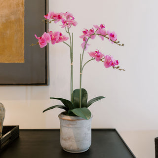 Lifelike artificial 2-stem Phalaenopsis pink orchid by CG Hunter, elegantly displayed in a modern gray pot, showcasing vibrant blooms that enhance sophisticated home decor.