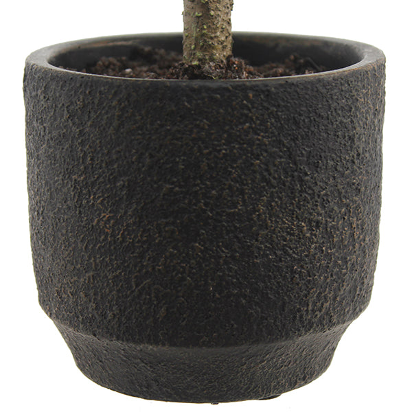 Elegant black textured pot holding a 2' Flocked Cedar Tree by CG Hunter, perfect for enhancing seasonal decor.