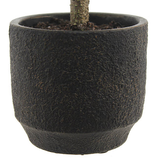 Elegant black textured pot holding a 2' Flocked Cedar Tree by CG Hunter, perfect for enhancing seasonal decor.