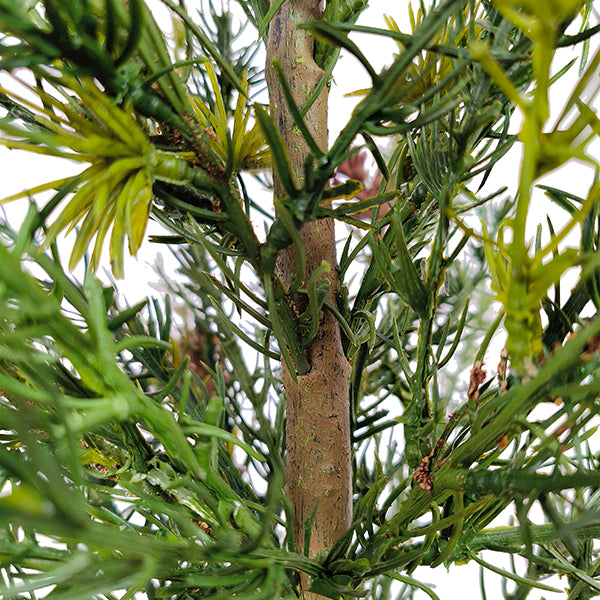 Close-up view of the CG Hunter 2' Pine Tree showcasing lifelike pine branches and a sturdy trunk, ideal for adding natural charm to holiday decor.
