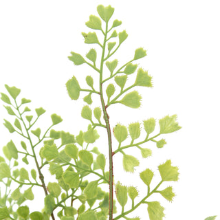 Close-up view of CG Hunter's 16" faux fern, revealing intricate leaf details and a soft green hue, perfect for enhancing luxurious interior spaces.