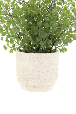 Luxe 16" Faux Snake Plant & Fern Set by CG Hunter, featuring a delicate fern in a textured cream pot, perfect for enhancing home decor.
