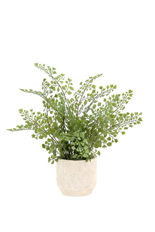Sophisticated 16" Faux Snake Plant & Fern Set by CG Hunter, showcasing a lush fern arrangement in a stylish cream pot for elegant interior design.
