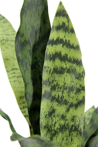 Close-up view of the striking leaves of the 16" Faux Snake Plant by CG Hunter, highlighting its vivid green coloring and natural patterns for luxurious decor.