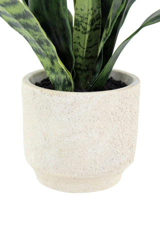 Detailed shot of the textured cream pot holding the 16" Faux Snake Plant by CG Hunter, designed to enrich any space with refined botanical beauty.