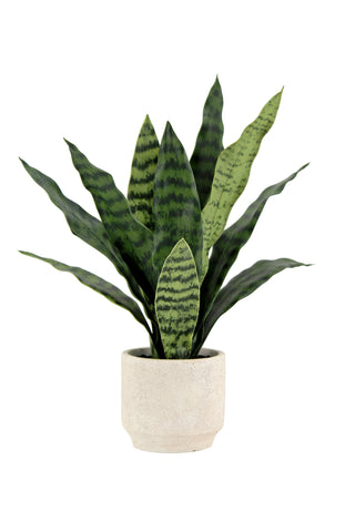 Lifelike 16" faux snake plant arranged elegantly in a cream pot, featuring vibrant, variegated leaves, perfect for enhancing home or office decor by CG Hunter.