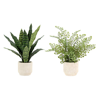 Elegant 16" Faux Snake Plant & Fern Set by CG Hunter, displaying both the snake plant and fern in complementary cream pots for chic home styling.