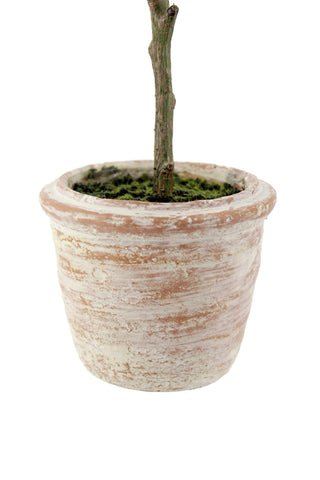 Terracotta pot detail from the 12" Rosemary & 16" Olive Topiary Set by CG Hunter, showcasing the texture and finish, complementing the lifelike faux topiary set as a houseplant and tabletop plant.