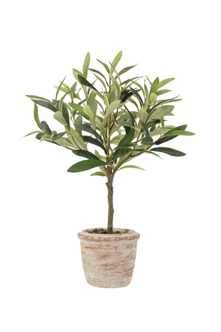 Full view of the olive topiary from the 12" Rosemary & 16" Olive Topiary Set by CG Hunter, perfect for adding greenery as a faux topiary set, enhancing your space as a houseplant and spring faux accent.