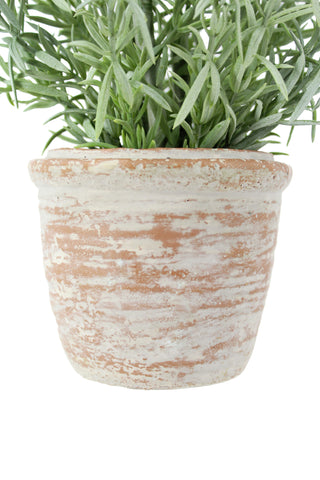 Terracotta pot detail featuring rosemary from the 12" Rosemary & 16" Olive Topiary Set by CG Hunter, enhancing the aesthetic of this faux topiary set, ideal for home decor and tabletop plants.
