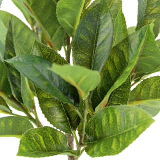 Close-up view of lifelike faux eucalyptus leaves, showcasing rich textures of green, ideal for enhancing home decor by CG Hunter in the 10" Eucalyptus and 16" Citrus Topiary Set.