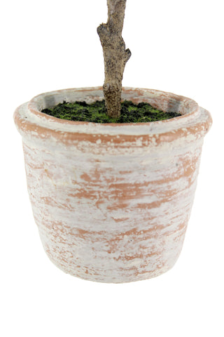 Elegant natural terracotta pot with rustic charm featuring faux greenery, perfect for luxury home styling, from the CG Hunter 10" Eucalyptus and 16" Citrus Topiary Set.