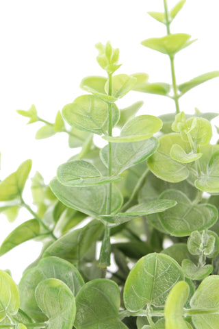 Detailed shot of lush faux citrus plant leaves with intricate textures, enhancing indoor aesthetics, by CG Hunter in the exquisite 10" Eucalyptus and 16" Citrus Topiary Set.