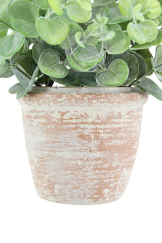 Close-up of a natural terracotta pot showcasing the bright faux citrus foliage, blending luxury and nature, part of the CG Hunter 10" Eucalyptus and 16" Citrus Topiary Set.