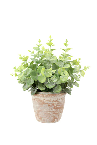 Lifelike faux 10" eucalyptus plant in a natural terracotta pot, showcasing lush greenery, from CG Hunter's exquisite topiary set.
