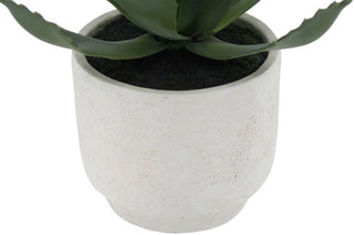 White textured planter with a green plant on a white background