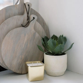 Wooden cutting boards, gold candle, and potted plant on a white surface.