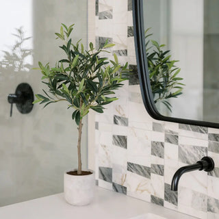 Potted plant on a bathroom counter with tiled wall and mirror.