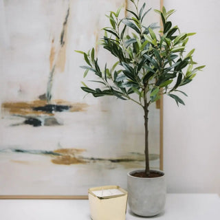 Potted plant on a table with abstract art in the background