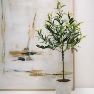 Potted olive plant in front of a marble wall