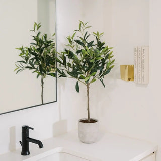 Potted plant on a bathroom counter with a mirror reflecting its image.
