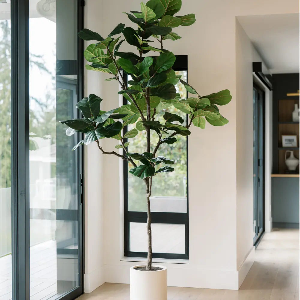 interior design fiddle leaf fig 9' Faux Fiddle Leaf Fig Tree in Pot
