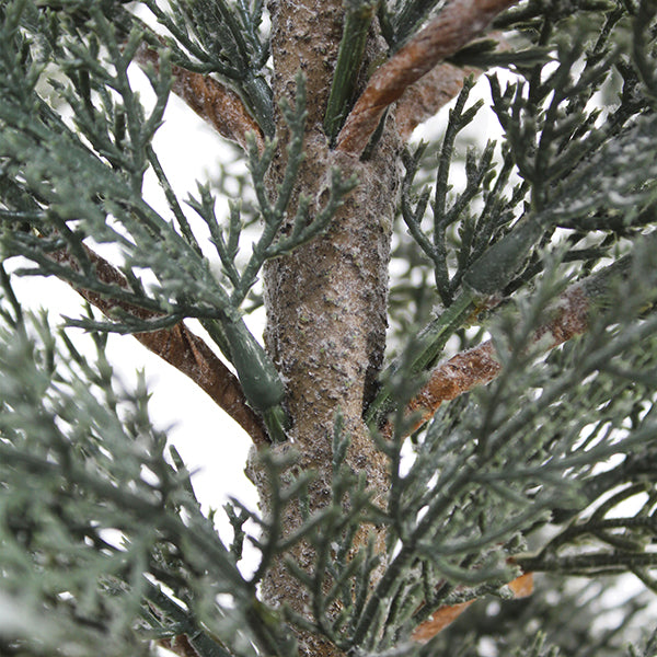 3' Flocked Cedar Tree