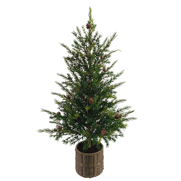 3' Pine Tree