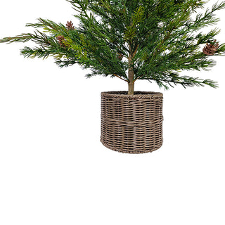 3' Pine Tree